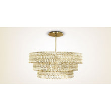 IQ8057 PETAL CHANDELIER - Alan Mizrahi Lighting