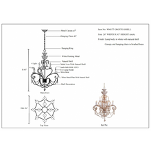 WM177 GROTTO SHELL