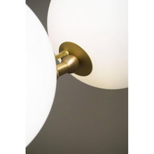 AM0618 COCO - Alan Mizrahi Lighting