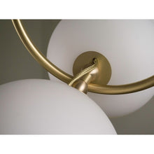 AM0618 COCO - Alan Mizrahi Lighting