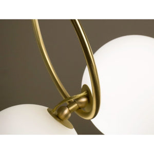 AM0618 COCO - Alan Mizrahi Lighting