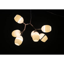 AM4991 SCURO ANTLER MODULAR - Alan Mizrahi Lighting