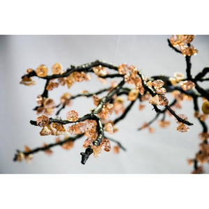 DV3953 ALMOND - Alan Mizrahi Lighting