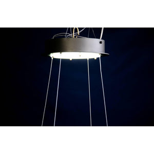 DV3953 ALMOND - Alan Mizrahi Lighting