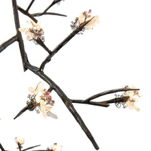 DV5620 ASCENDING BLOOM VIVANT - Alan Mizrahi Lighting