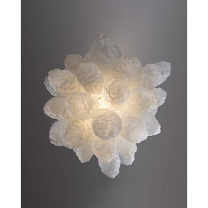 IQ2056 CORAL CLUSTER - Alan Mizrahi Lighting