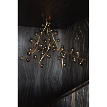IQ2057 WINERY - Alan Mizrahi Lighting