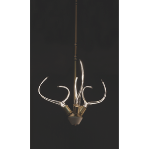 IQ8137 ANTLER'S HORN - Alan Mizrahi Lighting