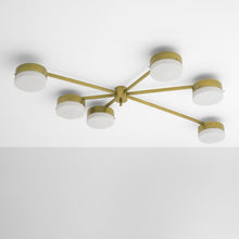 IQ8366 CELESTE - Alan Mizrahi Lighting