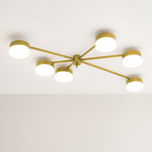 IQ8366 CELESTE - Alan Mizrahi Lighting