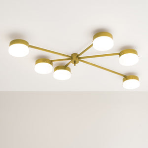 IQ8366 CELESTE - Alan Mizrahi Lighting