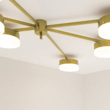IQ8366 CELESTE - Alan Mizrahi Lighting