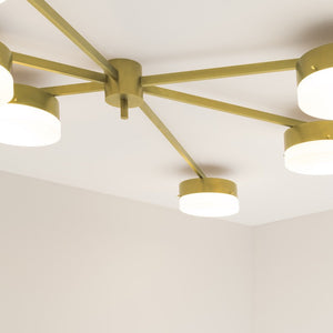 IQ8366 CELESTE - Alan Mizrahi Lighting