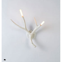 JT215 ANTLERS - Alan Mizrahi Lighting