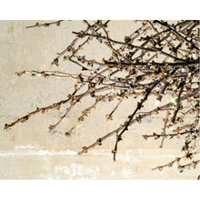 JT246 TWIG - Alan Mizrahi Lighting