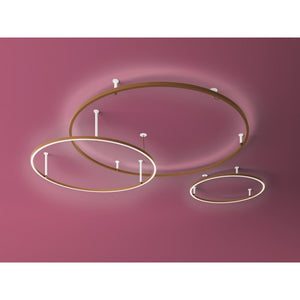 QZ1007 U LIGHT - Alan Mizrahi Lighting