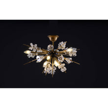 QZ310 STAR OPERA - Alan Mizrahi Lighting