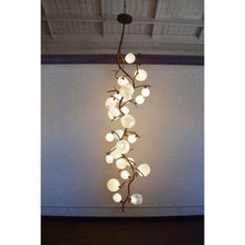 WM2128 LUCIA CHANDELIER - Alan Mizrahi Lighting