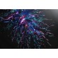 AM185C BLUE MAESTRO MEDUSA - Alan Mizrahi Lighting