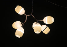AM4991 SCURO ANTLER MODULAR - Alan Mizrahi Lighting