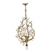 IQ2356 FOREST GOLD - Alan Mizrahi Lighting