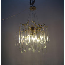 QZ309 AQUA ORGANIC - Alan Mizrahi Lighting