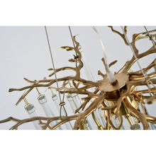 QZ309 AQUA ORGANIC - Alan Mizrahi Lighting