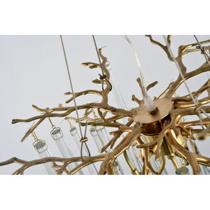 QZ309 AQUA ORGANIC - Alan Mizrahi Lighting