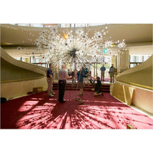 QZ6693 PARTY - Alan Mizrahi Lighting