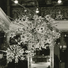 QZ6693 PARTY - Alan Mizrahi Lighting