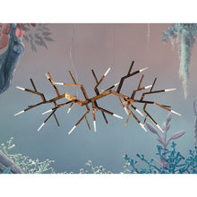 WM2088 ACROPORA CHANDELIER - Alan Mizrahi Lighting