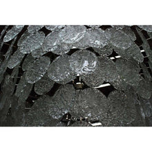 WM2118 DISCS - Alan Mizrahi Lighting